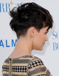 Ginnfer Goodwin