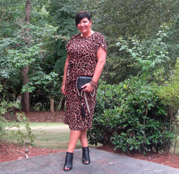 New look leopard print dress, Vince Aden shoes, Gucci purse