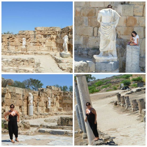 Salamis collage