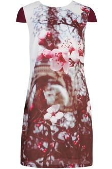 ted-baker-grey-nula-teds-25th-anniversary-print-dress-product-1-7598865-958826130_large_card