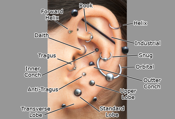 Ear-Piercing-Diagram
